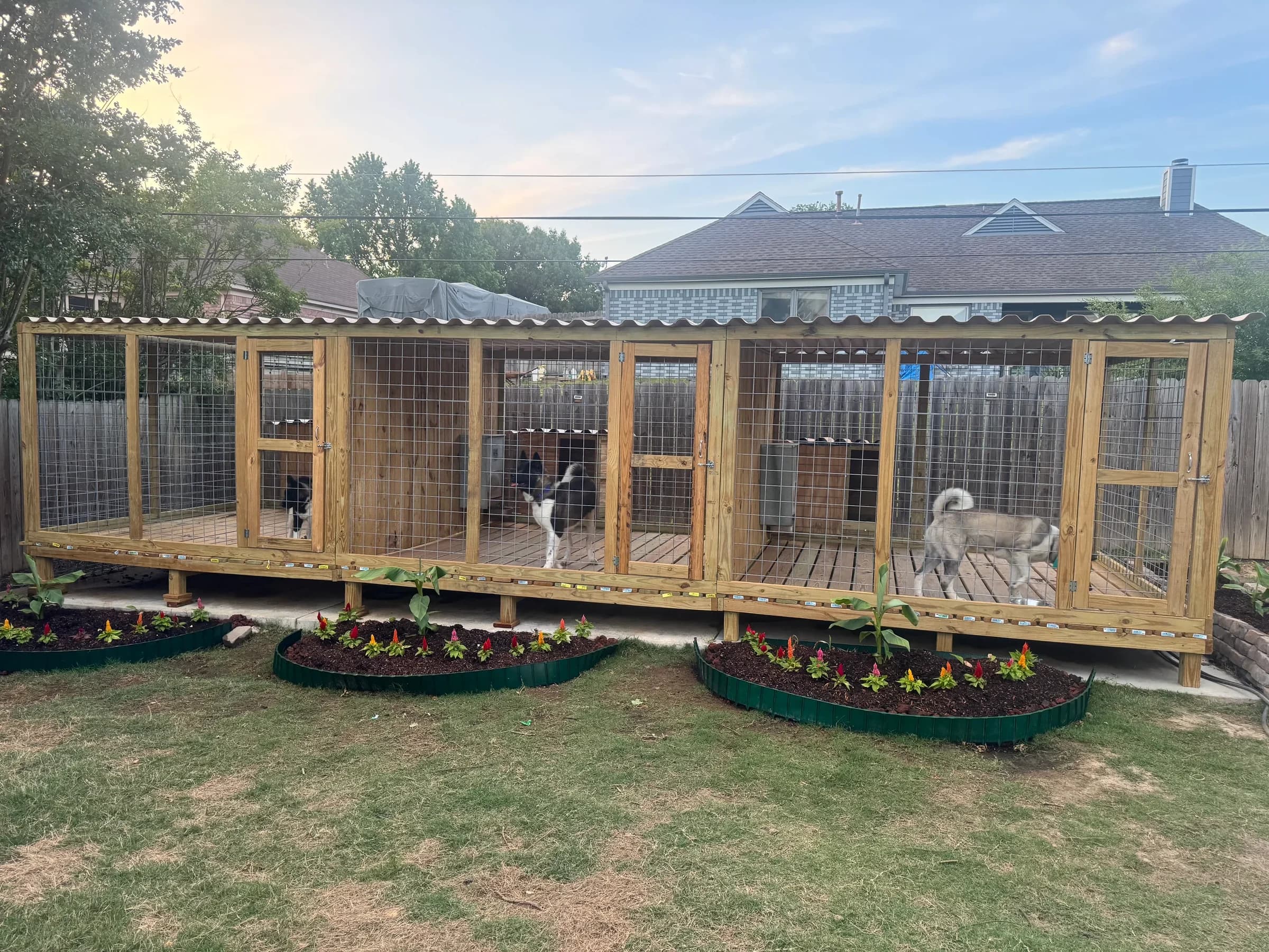 The kennel building and outdoor runs at Briwder Kennels